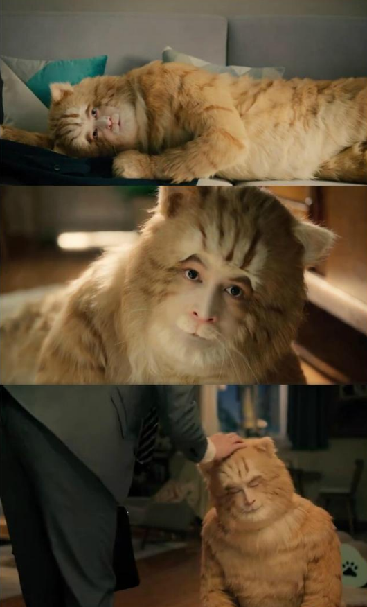 動物世界：從狗生贏家王可可開始，扒一扒各路明星斥巨資養的寵物