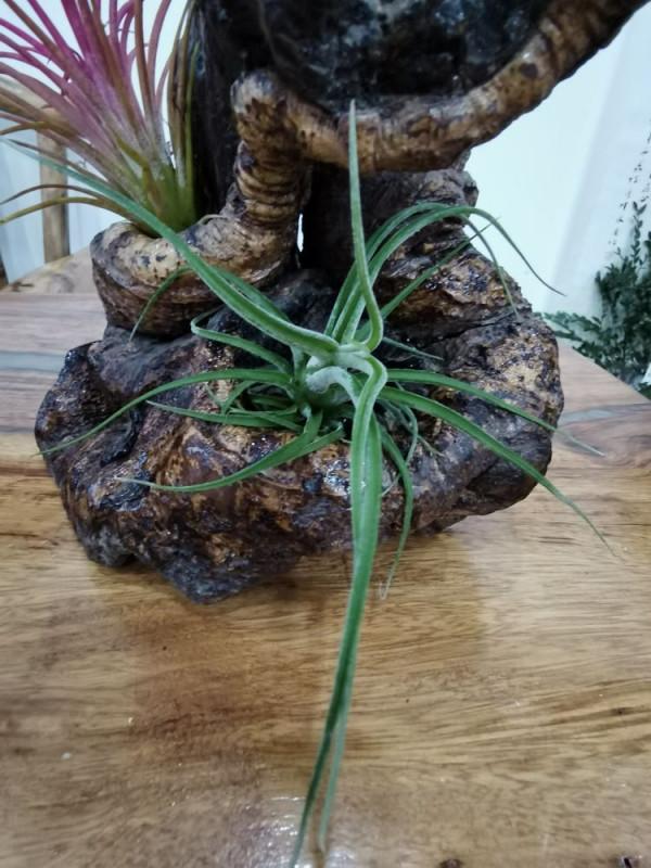 快春節了，來一波超讚木頭風園藝佳作欣賞