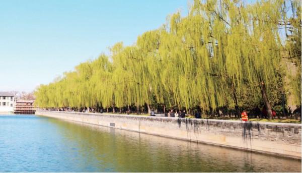 京華物語丨1420年的那個冬天，姍姍來遲的紫禁城揭開了面紗