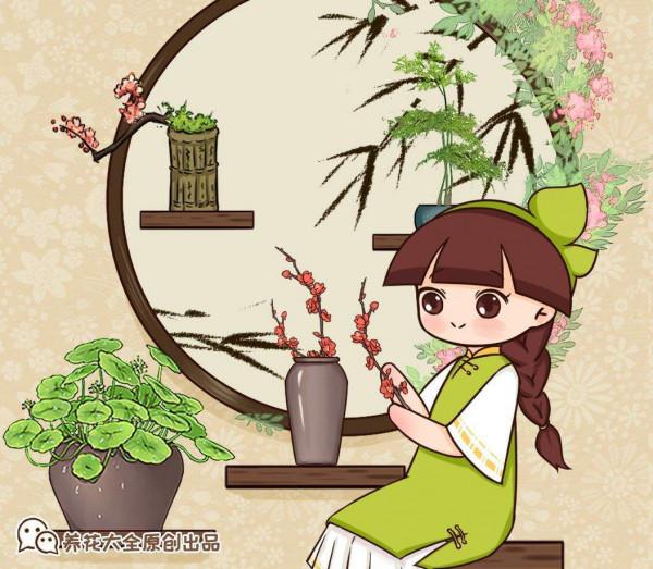 養什麼花雅緻?瞭解一下花中四君子,高貴有氣質 養什麼花雅緻?瞭解一下花中四君子,高貴有氣質