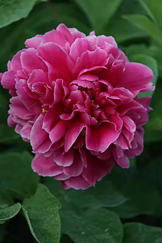 不得不承認,有些句子看似很皮,卻又很有道理,精闢犀利幽默提神 不得不承認,有些句子看似很皮,卻又很有道理,精闢犀利幽默提神