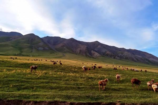 天山行之（二）空中草原託乎拉蘇