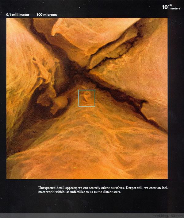 用幾張圖看透世界,震撼心靈,感悟人生 用幾張圖看透世界,震撼心靈,感悟人生