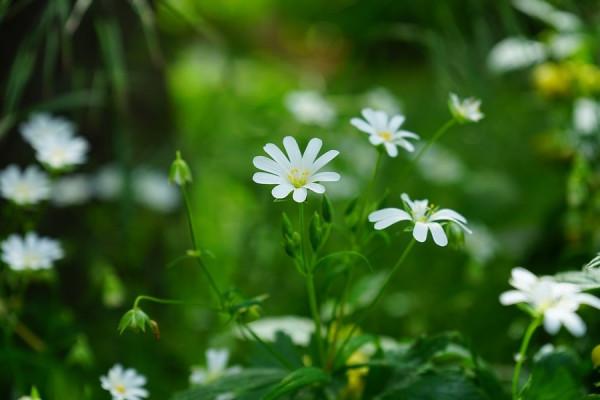 11.1-11.7十二星座事業運勢,巨蟹以學習為主,天蠍責任感爆棚 11.1-11.7十二星座事業運勢,巨蟹以學習為主,天蠍責任感爆棚