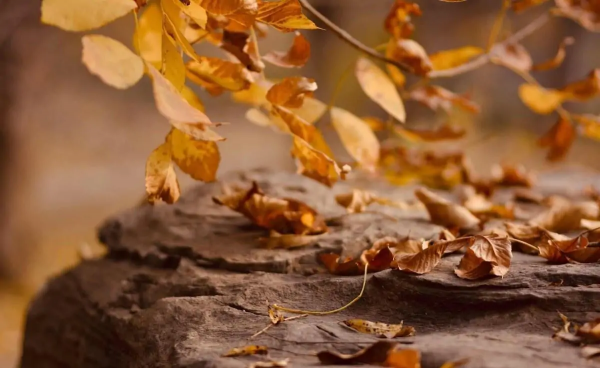 識人：真正的有錢人，往往都對自己比較&OpenCurlyDoubleQuote;狠&rdquo;