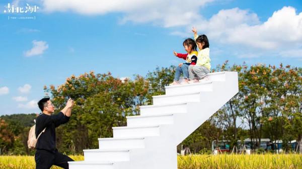打卡“南北湖·荊山裡”稻香大田｜一個將田園與藝術完美結合的好去處