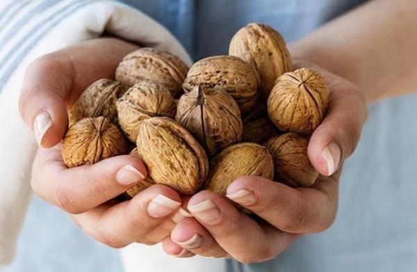 每天吃核桃，收穫的好處，可能遠比你想象得多，但它適合所有人嗎