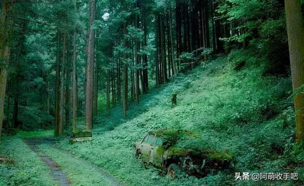 33張時間力量的照片，大自然吞噬廢棄的汽車，遊客在荒漠踩出階梯