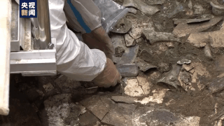 來!一起見證三星堆新文物玉鑿、銅尊等提取瞬間 來!一起見證三星堆新文物玉鑿、銅尊等提取瞬間