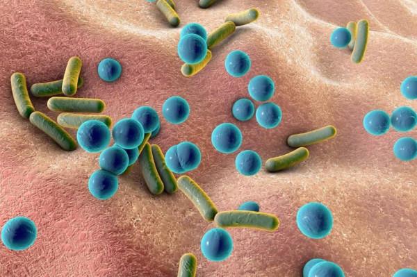 燙碗真的能殺菌消毒?溫度和時間都遠遠不夠 燙碗真的能殺菌消毒?溫度和時間都遠遠不夠