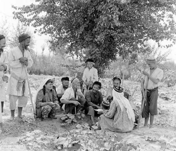 庫爾班騎驢去北京,毛主席給了他一塊條絨布,他做成衣服世代傳承 庫爾班騎驢去北京,毛主席給了他一塊條絨布,他做成衣服世代傳承