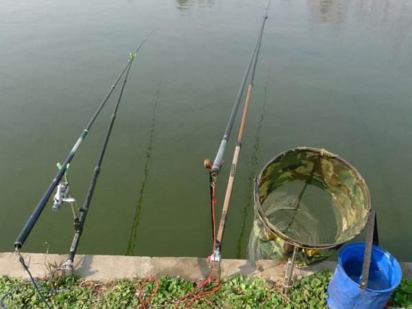 秋天找不到魚？掌握這幾個小技巧，讓你在野釣中找到魚窩爆護