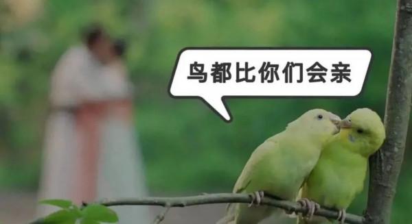 演員用替身的“魔鬼行為”，一個比一個離譜，有人連躺著都要替身