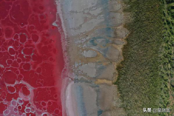 巴丹吉林:神舟十二號飛船著陸地,長滿“黑色眼睛”,還會變紅? 巴丹吉林:神舟十二號飛船著陸地,長滿“黑色眼睛”,還會變紅?