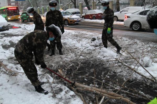 北方多地暴雪之後：蔬菜大棚被壓塌20多戶絕收，部分地區蔬菜價格上漲近一倍