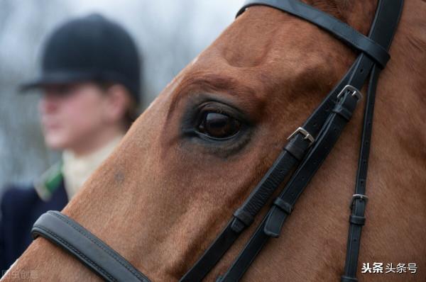 日久見人心 日久見人心
