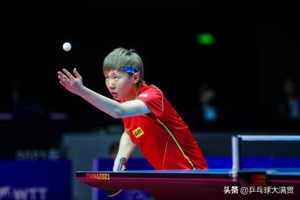 樊振東陳夢領銜，國乒全部出戰，周啟豪迎戰波爾，25號賽程