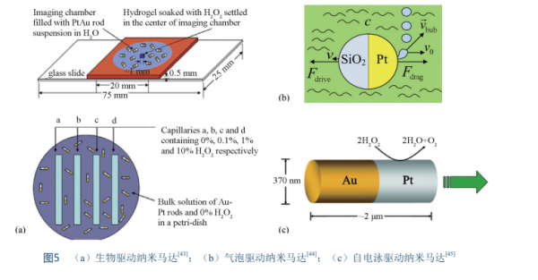 奈米馬達的驅動機理研究進展