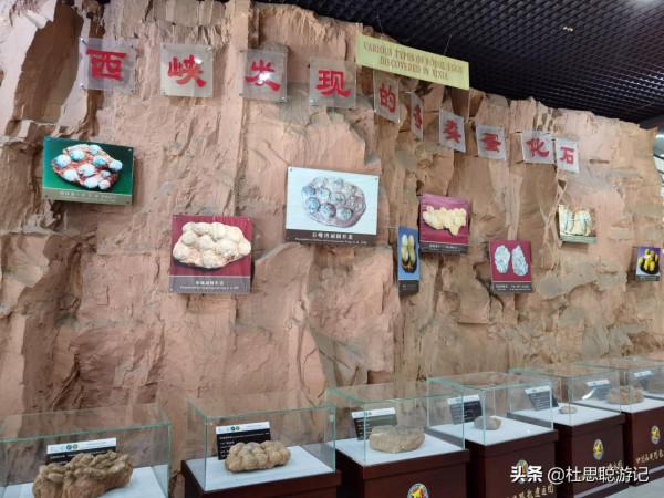 漢EV自駕河南，帶著孩子逛親子景區5A恐龍遺蹟園