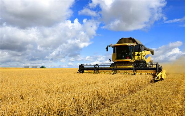 未來的農民,出路在哪裡?這幾方面 未來的農民,出路在哪裡?這幾方面