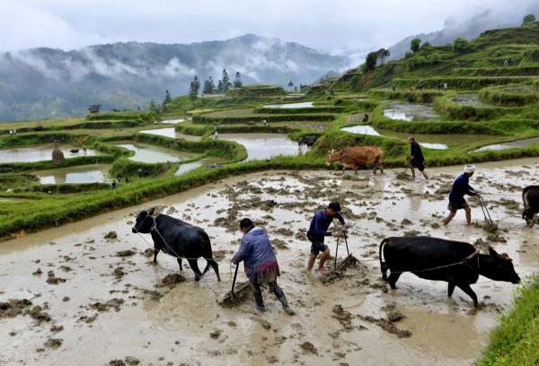 古代生活條件這麼差，面對寒冷的冬季，古人是如何避寒的