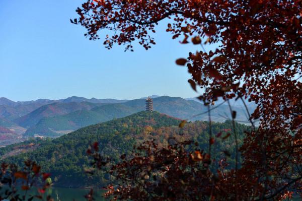 金海湖晚秋 水岸紅葉風景獨好 金海湖晚秋 水岸紅葉風景獨好
