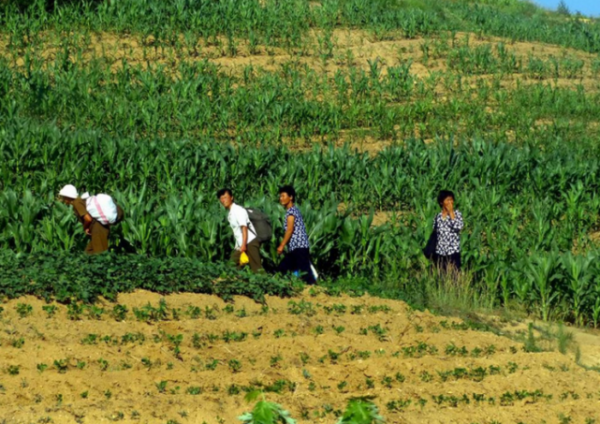 朝鮮觀察,朝鮮農村人如何獲得城市戶口? 朝鮮觀察,朝鮮農村人如何獲得城市戶口?