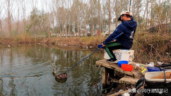 氨基酸是啥？對釣魚有啥用？淡水魚必須的10種氨基酸詳解