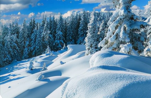 我們期待著北京冬奧會，共同參與