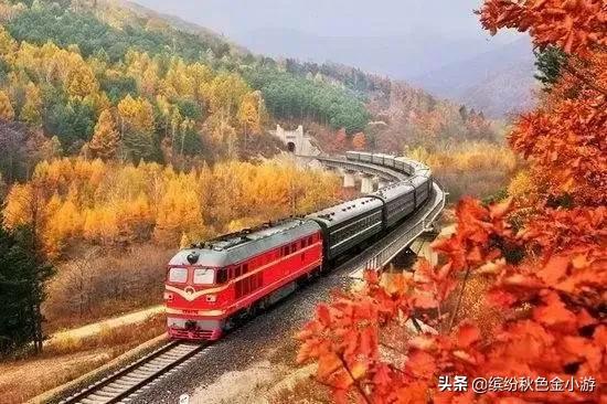 老年旅遊專列都有哪幾趟? 老年旅遊專列都有哪幾趟?