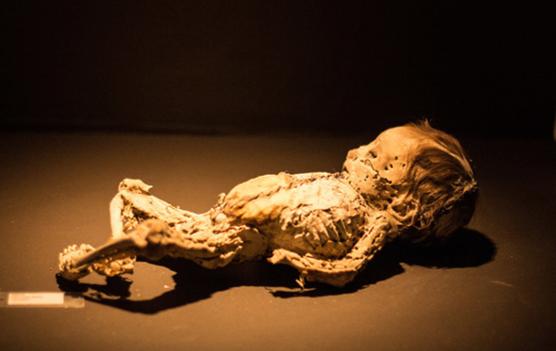 《尋夢環遊記》裡真實的童話小城瓜納華託，色彩斑斕的世界銀都