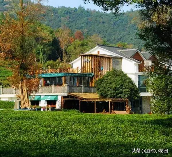 70後文藝大叔，用6年建400㎡院子，每天喝茶做飯，瀟灑生活