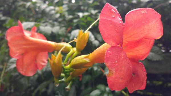 在即墨田橫島，享受難得的寂寞、清淨和快樂