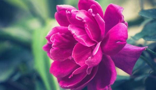 20天后，4個星座，窘境褪去，成績突出，保持奮鬥之心，好事到來