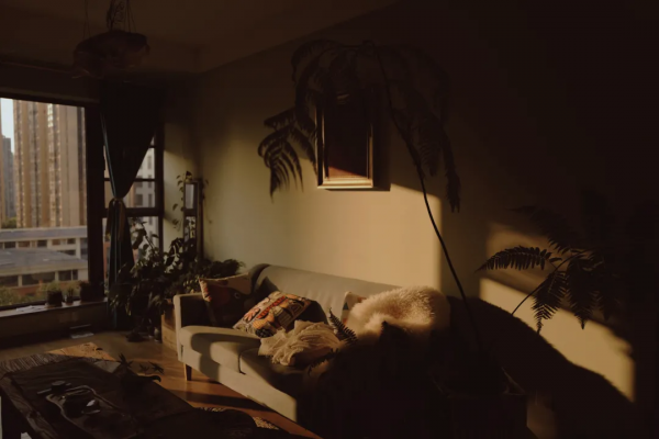 37歲，兩套房，她9年不戀愛，1人住10年：有錢有房，快樂翻倍