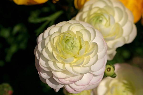 9月22日星座運勢:不甘平庸,突破瓶頸的四大星座 9月22日星座運勢:不甘平庸,突破瓶頸的四大星座