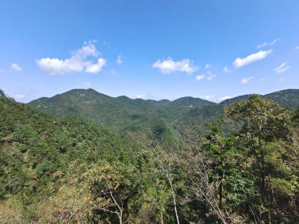 四明山國家森林公園 四明山國家森林公園