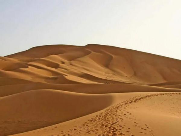 埃及、阿聯酋之旅一