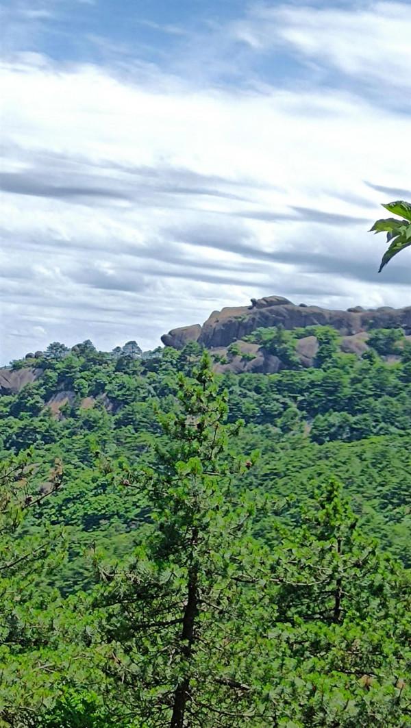 黃山歸來不看嶽，黃山歸來我後悔了