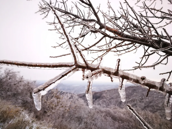 門城一夜雪，萬山披銀裝！