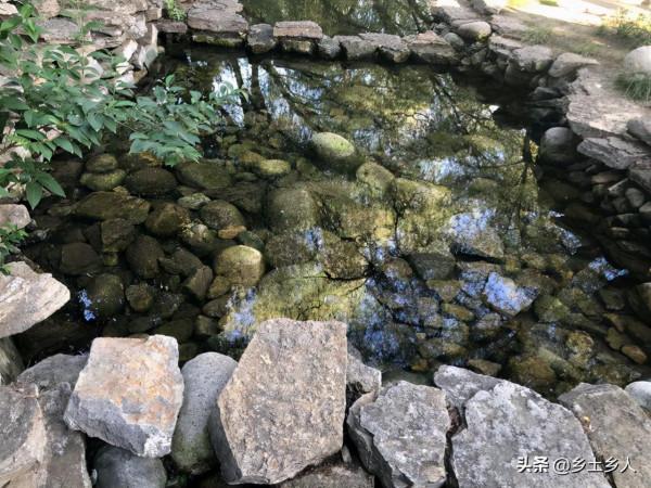 十月初十釀酒節,俗語“十月天赦酒,賽過午時水”,啥是天赦酒? 十月初十釀酒節,俗語“十月天赦酒,賽過午時水”,啥是天赦酒?