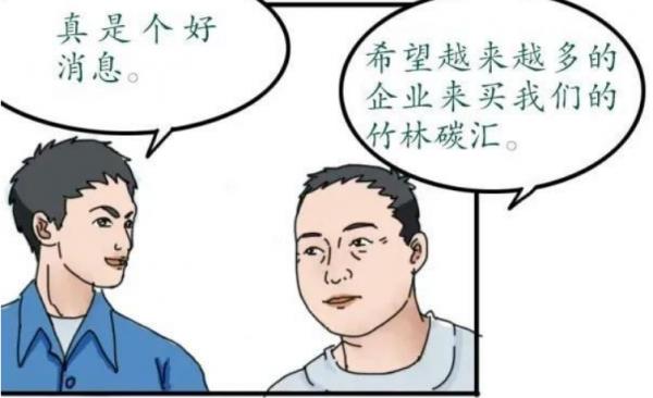 竹林吸收二氧化碳就可賣錢,惠及千萬農民的政策來了 竹林吸收二氧化碳就可賣錢,惠及千萬農民的政策來了