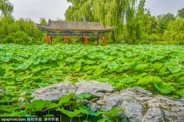 驚豔!這個“太陽神”公園竟藏著江南庭院,古色古香還免費! 驚豔!這個“太陽神”公園竟藏著江南庭院,古色古香還免費!