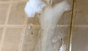 一步到位照著買!10件家庭基礎清潔劑,年底大掃除必備 一步到位照著買!10件家庭基礎清潔劑,年底大掃除必備