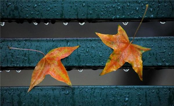 越是不爭，越有福氣