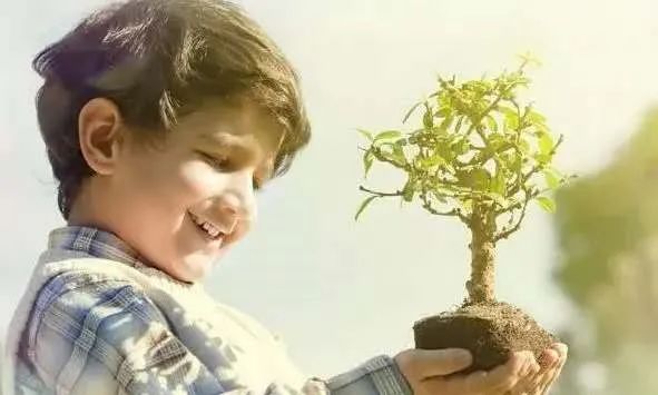 孩子，比起努力讀書，媽媽更希望你能擁有這幾個品質