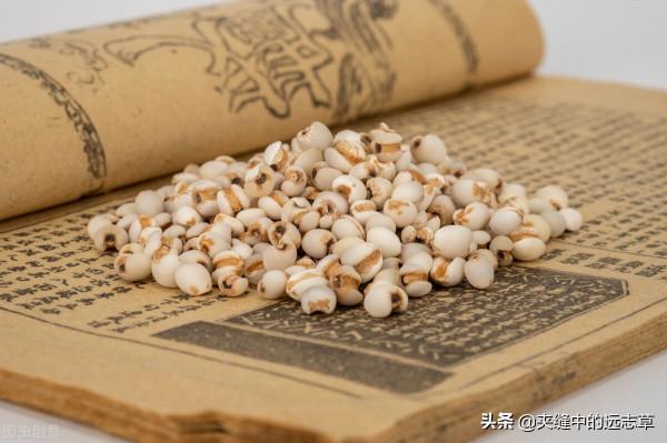 講兩個中成藥，給怎麼吃都吃不胖的瘦子增增肥