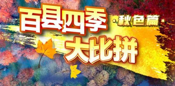 稻花香裡說豐年!稻穀飄香的秋日你記錄了嗎? 稻花香裡說豐年!稻穀飄香的秋日你記錄了嗎?