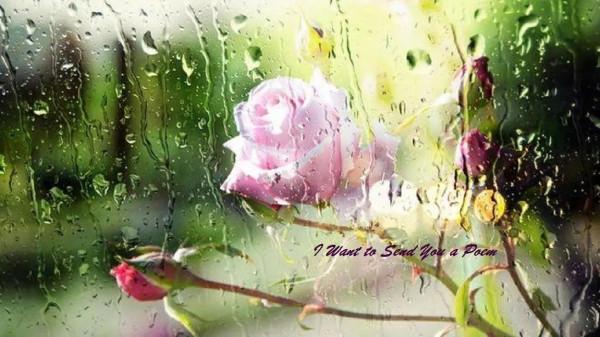 我想送你一首詩 外一首：飛進你夢裡