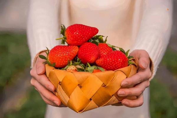 聰明人的生活方式：讀書、存錢、享受獨處